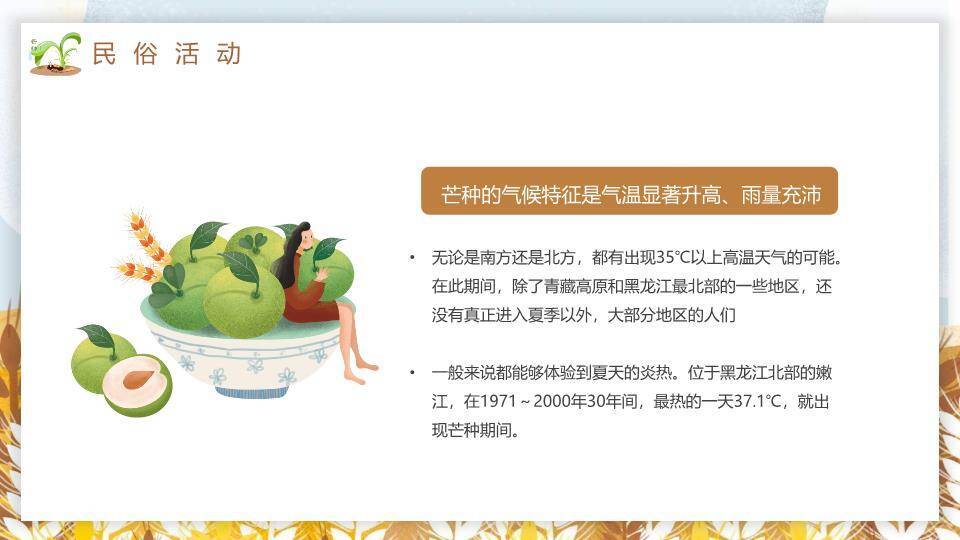 芒种节气文化介绍PPT模板6