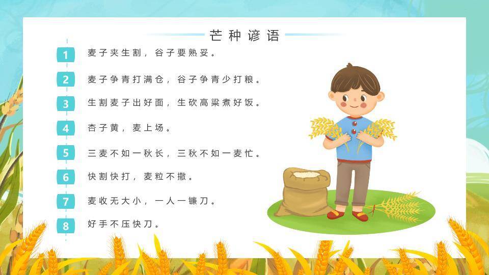 芒种节气科普PPT模板8