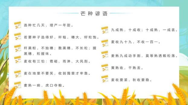 芒种节气科普PPT模板9