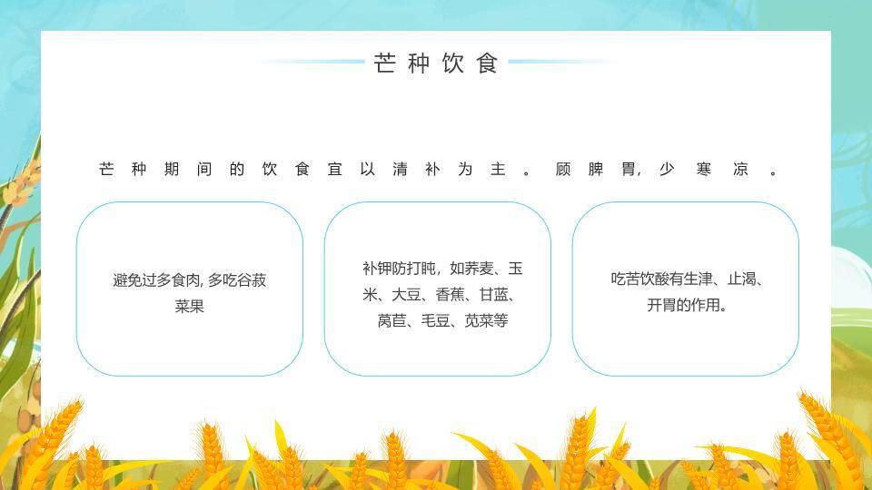 芒种节气科普PPT模板2