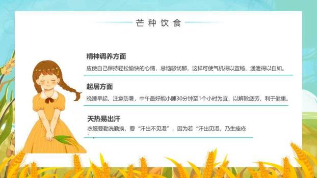 芒种节气科普PPT模板3