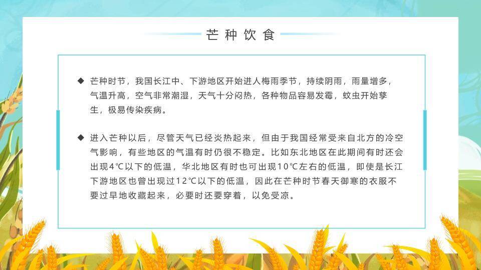 芒种节气科普PPT模板4