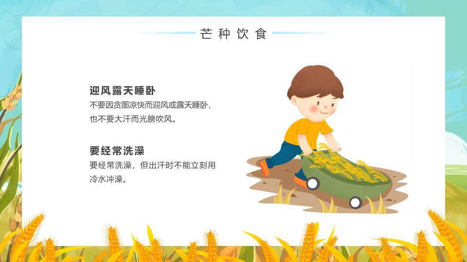 芒种节气科普PPT模板5