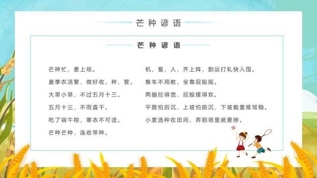 芒种节气科普PPT模板7