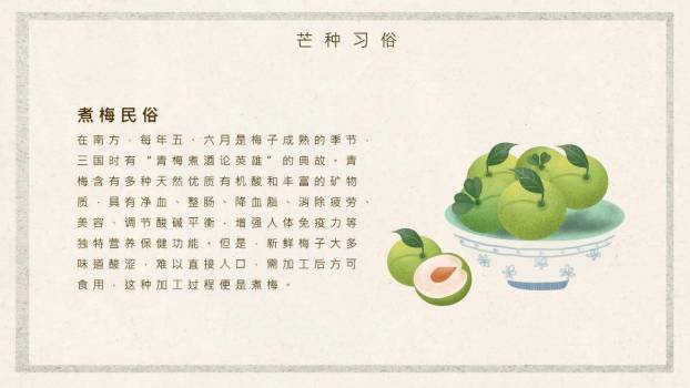 芒种节气趣味PPT模板5