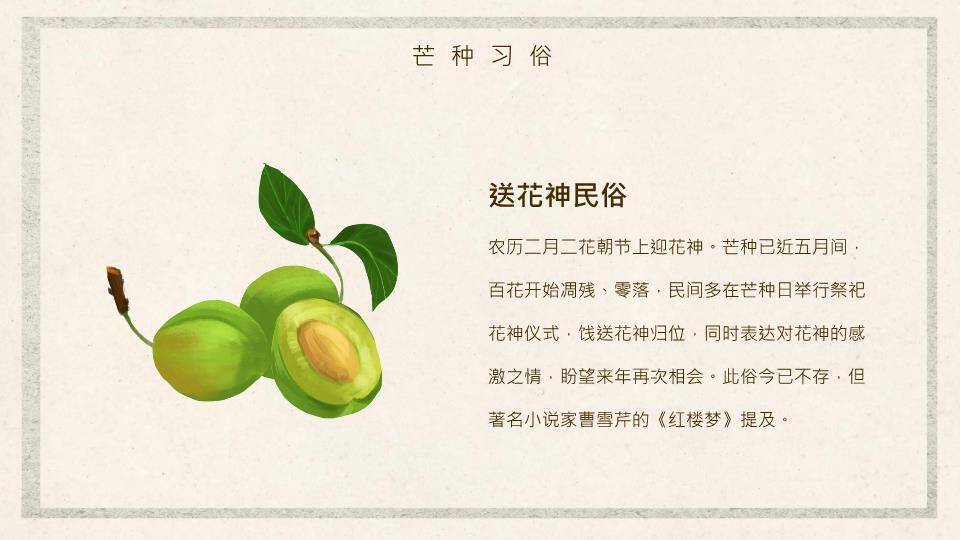 芒种节气趣味PPT模板6
