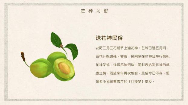 芒种节气趣味PPT模板6
