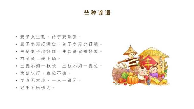 芒种节气汇报PPT模板8