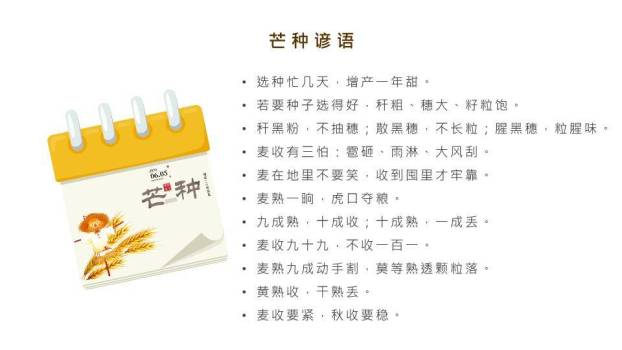 芒种节气汇报PPT模板9