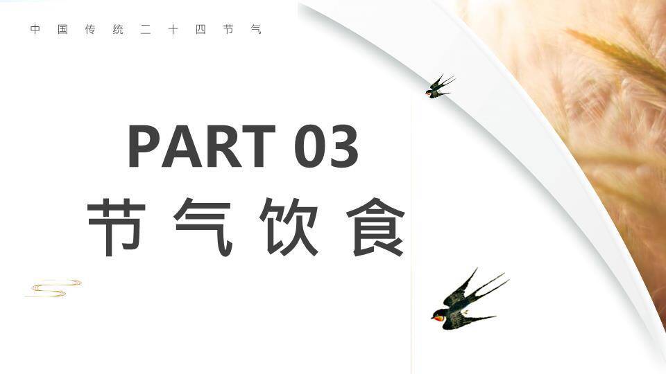 芒种节气汇报PPT模板1