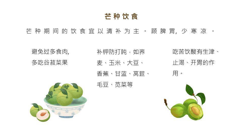 芒种节气汇报PPT模板2