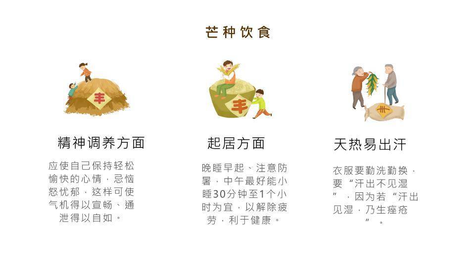 芒种节气汇报PPT模板3