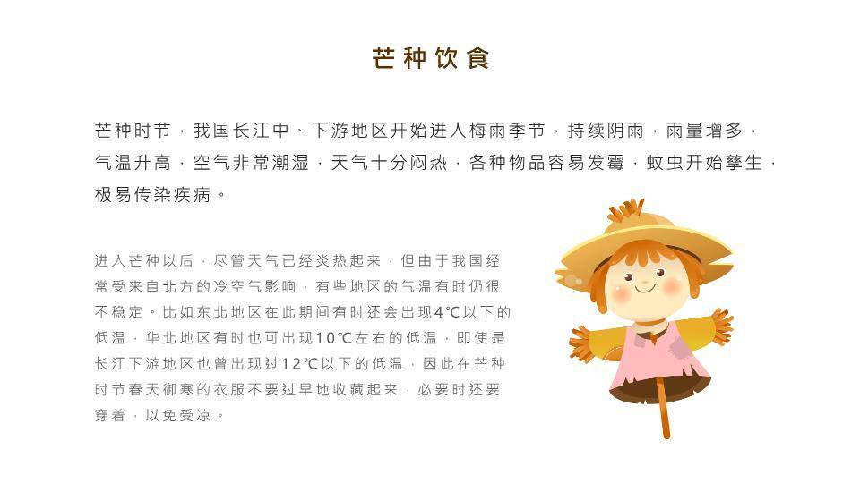 芒种节气汇报PPT模板4