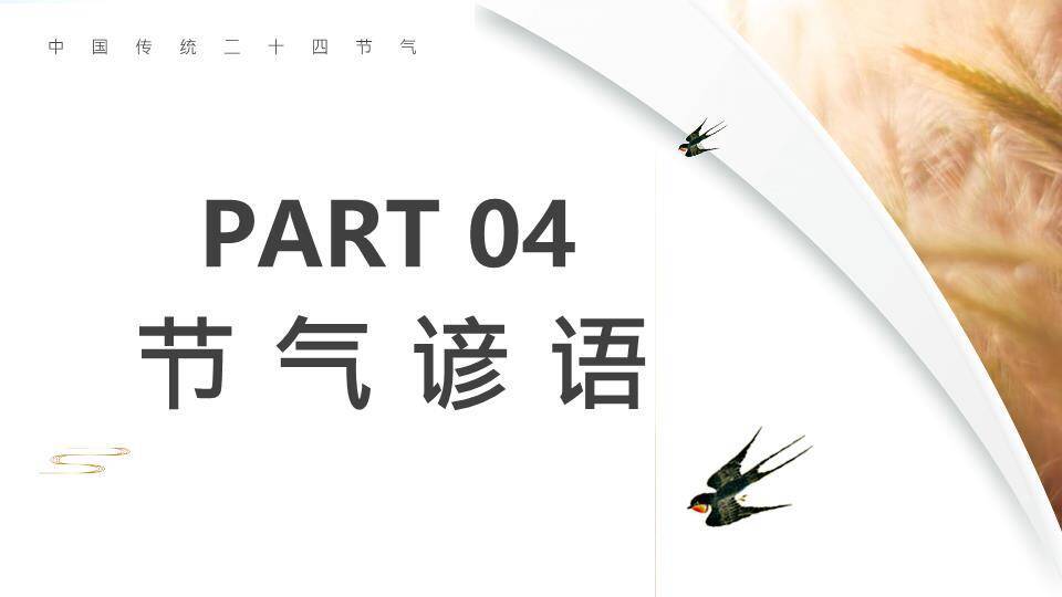 芒种节气汇报PPT模板6