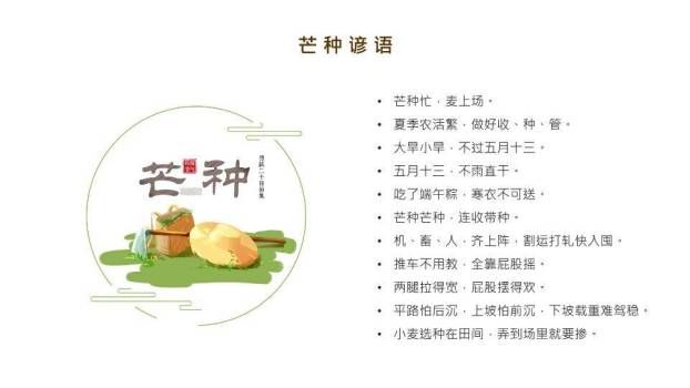 芒种节气汇报PPT模板7