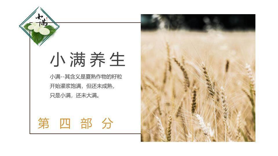 小满节气传统文化PPT模板9