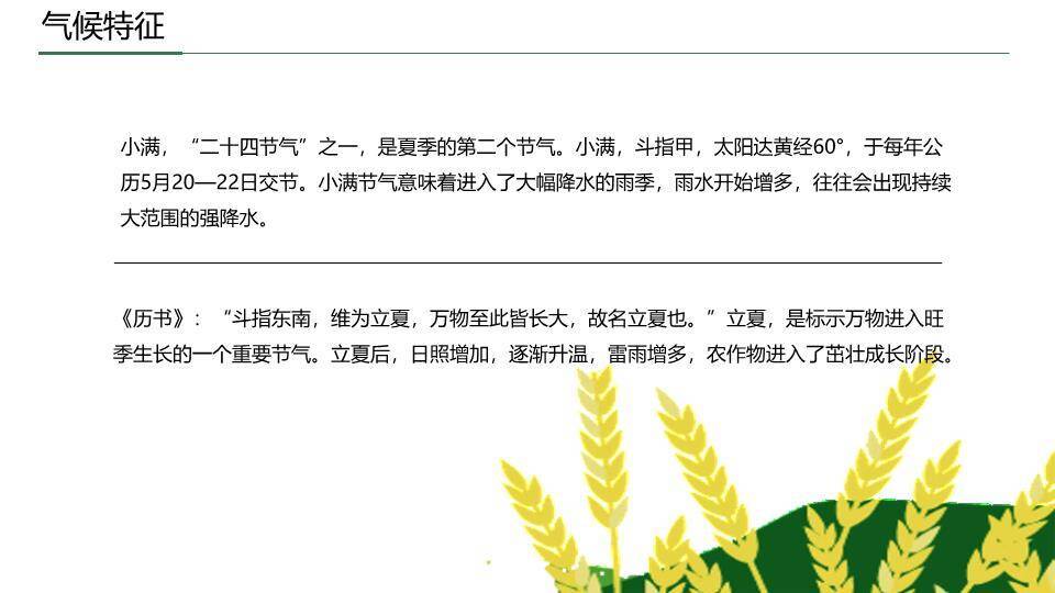 小满节气国风PPT模板1
