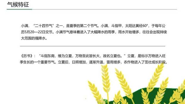 小满节气国风PPT模板1