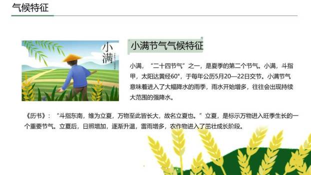 小满节气国风PPT模板2