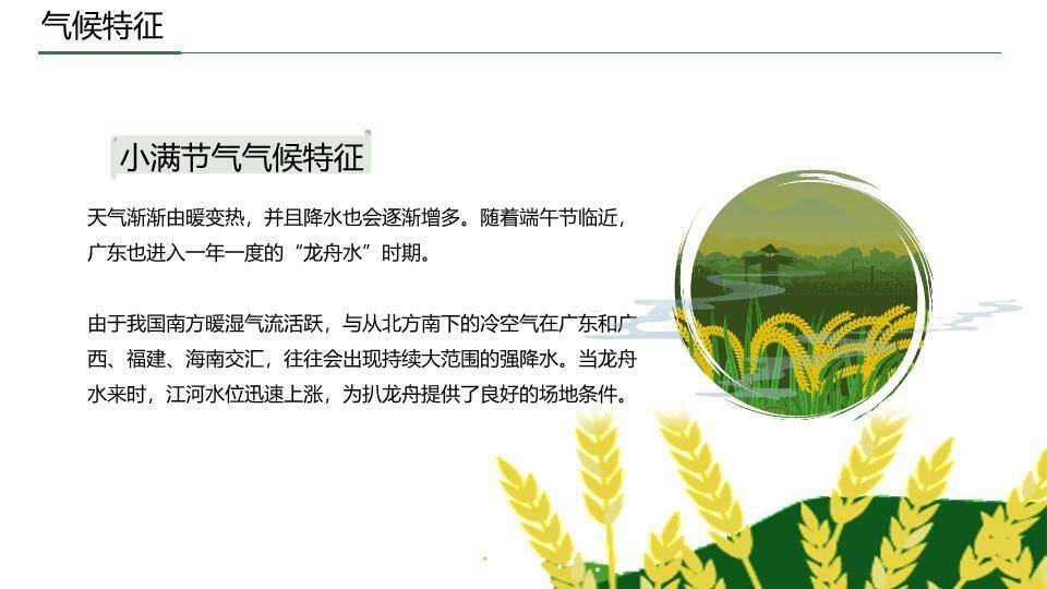 小满节气国风PPT模板3