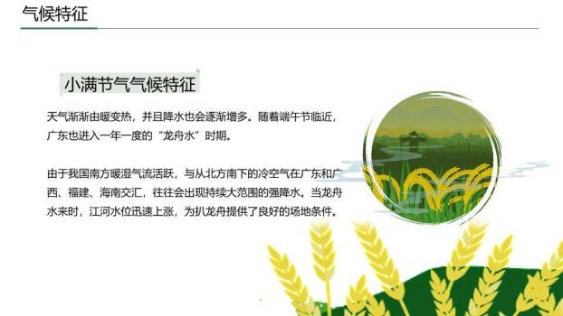 小满节气国风PPT模板3