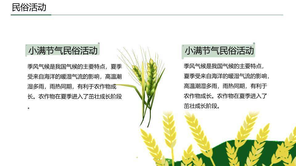 小满节气国风PPT模板6