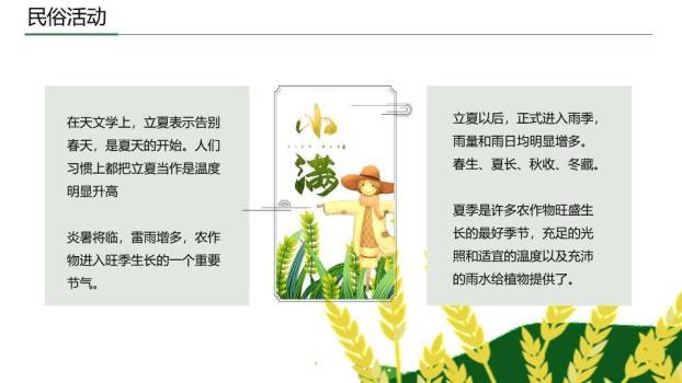 小满节气国风PPT模板7