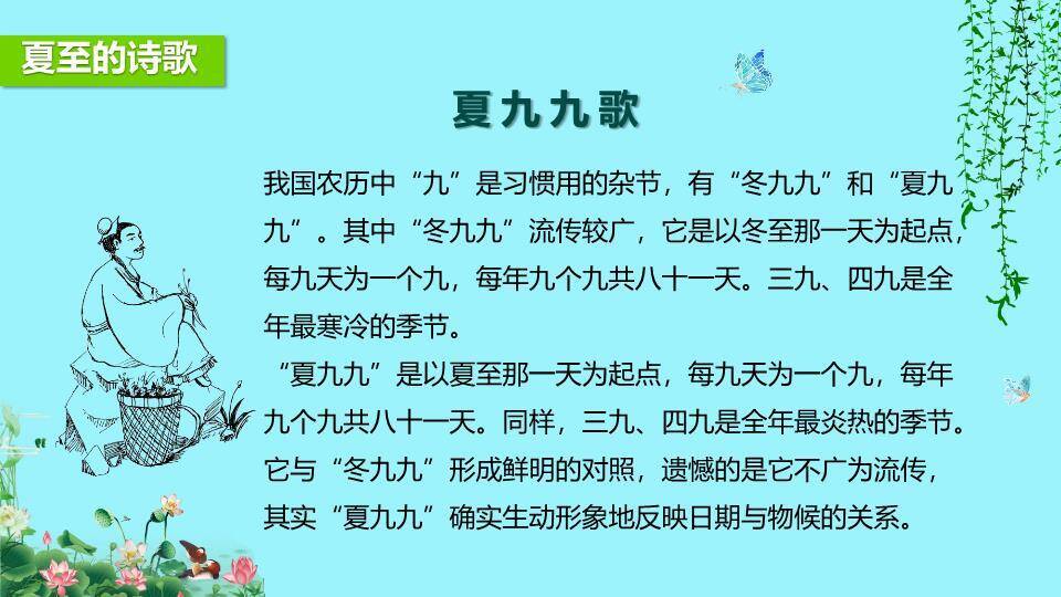 夏至节气科普PPT模板9