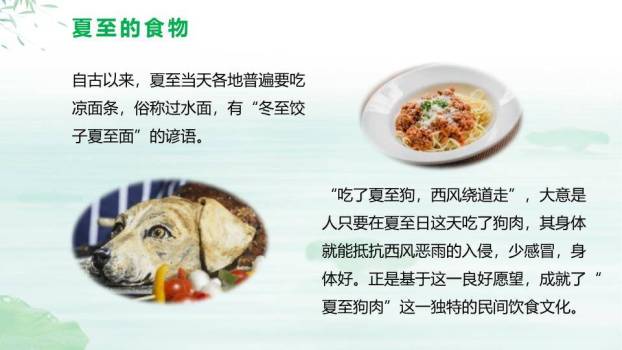 夏至清凉主题PPT模板4