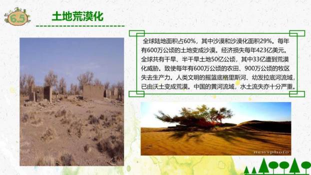 世界环境日生态主题PPT模板1