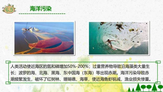 世界环境日生态主题PPT模板4