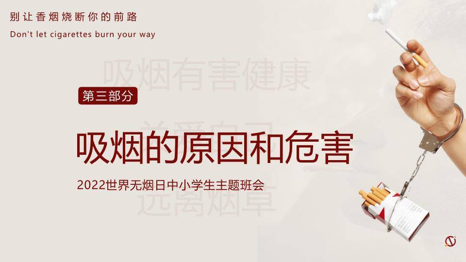 世界无烟日禁烟教育PPT模板1