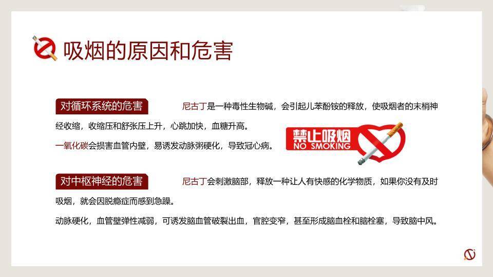世界无烟日禁烟教育PPT模板7