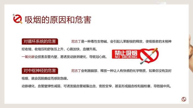 世界无烟日禁烟教育PPT模板7