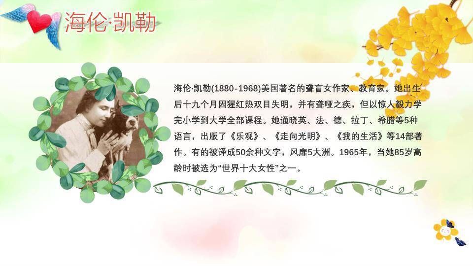 全国助残日关爱行动PPT模板8