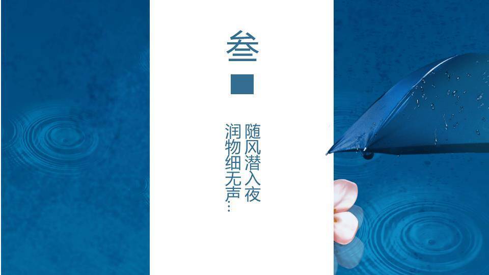 谷雨节气美学展示PPT模板2