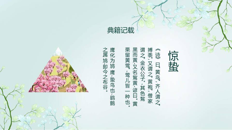 惊蛰节气传统文化PPT模板8