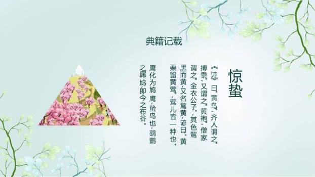 惊蛰节气传统文化PPT模板8