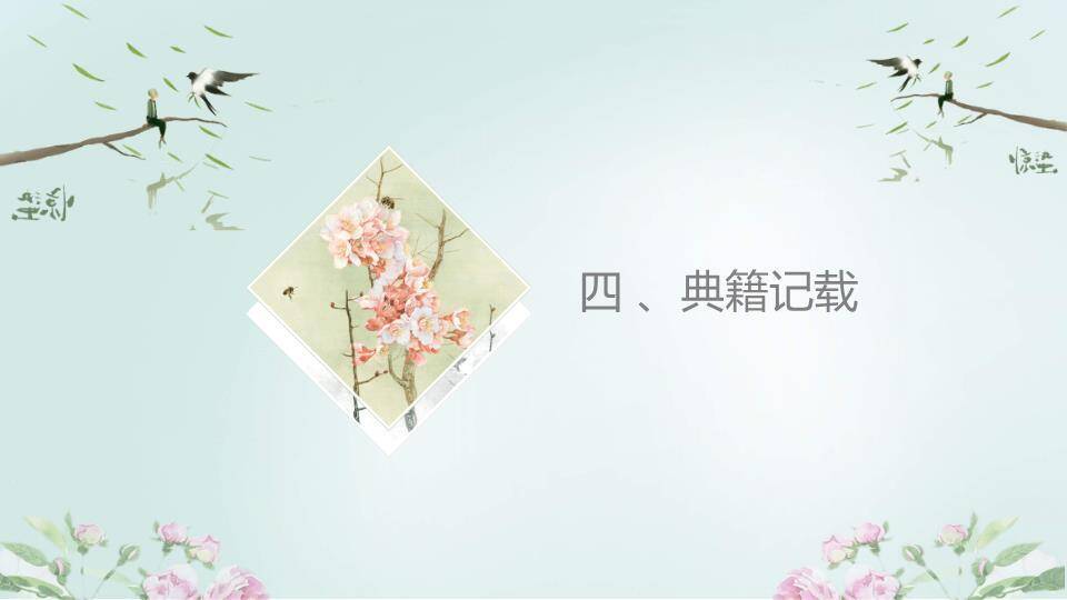 惊蛰节气传统文化PPT模板6