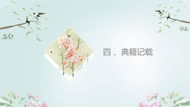 惊蛰节气传统文化PPT模板6