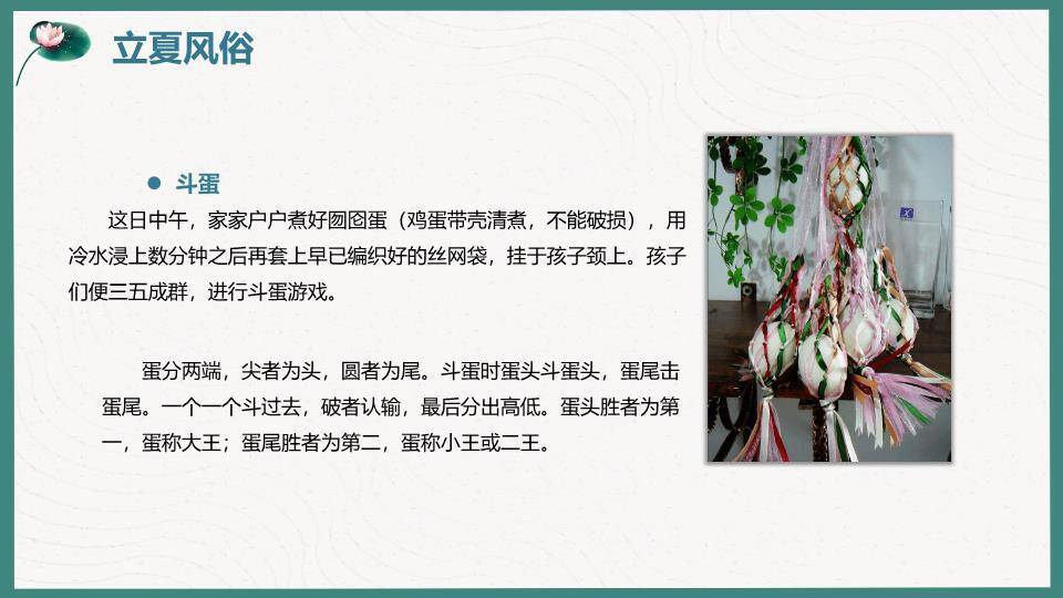 立夏节气清新自然PPT模板6