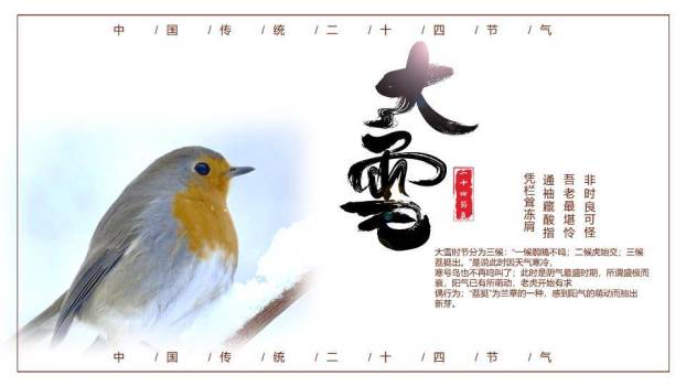 大雪节气文化解读PPT模板0