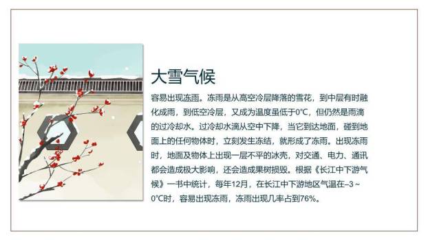 大雪节气文化解读PPT模板1