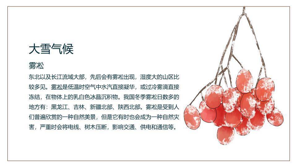 大雪节气文化解读PPT模板2