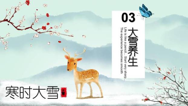 大雪寒时PPT模板4
