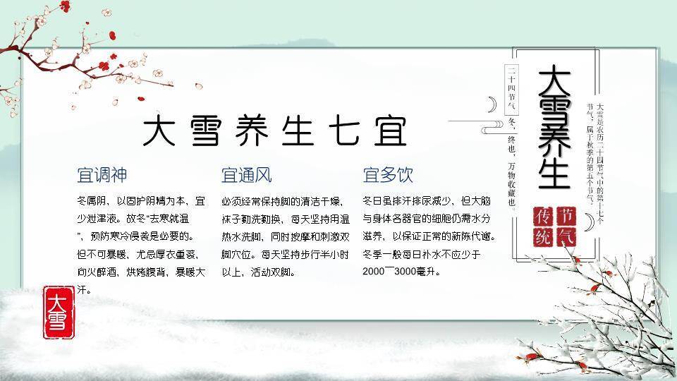 大雪寒时PPT模板5