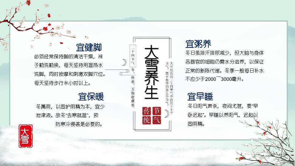 大雪寒时PPT模板6