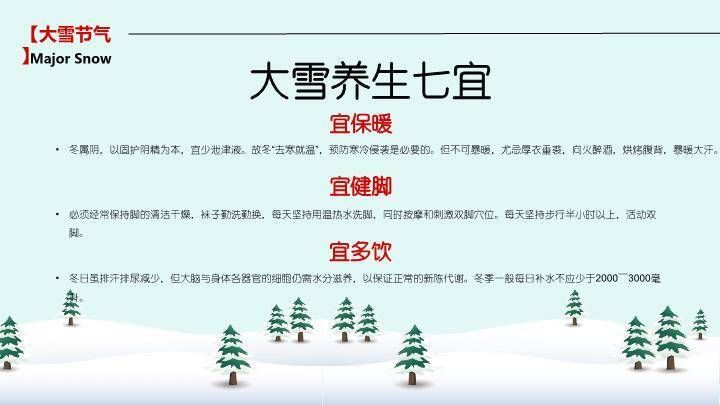 大雪夜深听雪PPT模板9