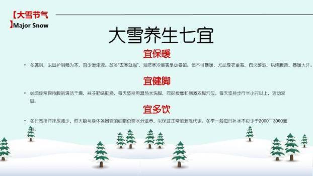 大雪夜深听雪PPT模板9