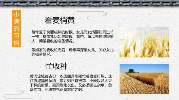 小满节气主题PPT模板8